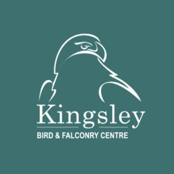 kingsley-logo