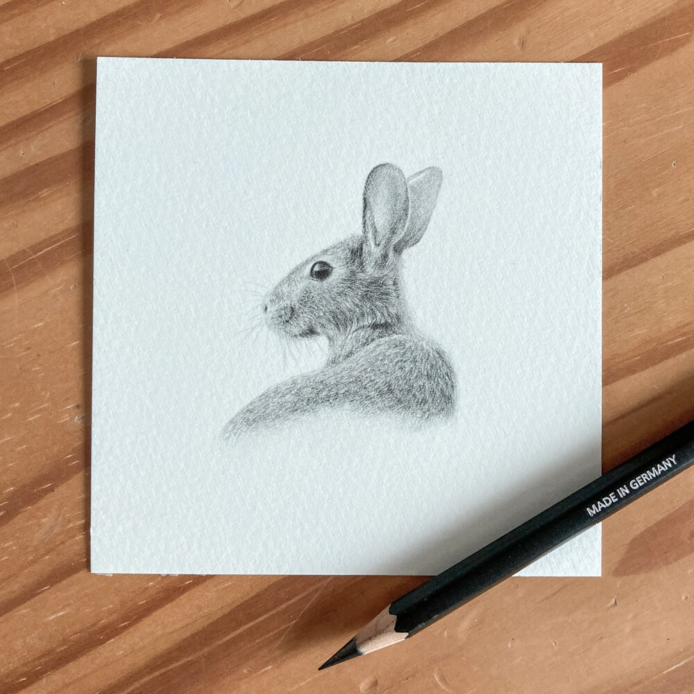 Small Rabbit